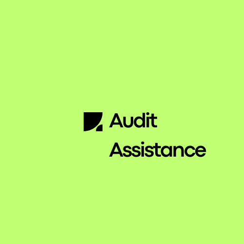 Audit Assistance Icon